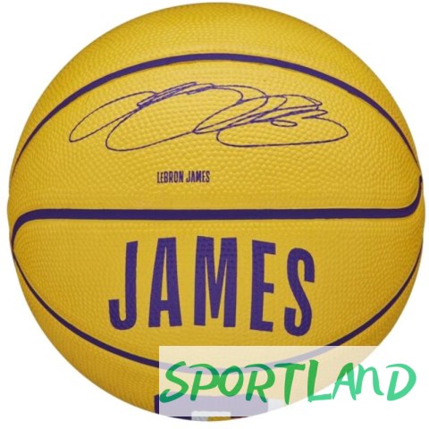 Piłka Wilson NBA Player Icon Stephen Curry Mini Ball WZ4007401XB 3 Piłka Wilson NBA Player Icon Stephen Curry Mini Ball WZ4007401XB 3