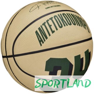 Piłka do koszykówki Wilson NBA Player Icon Giannis Antetokounmpo Mini Ball WZ4007501XB 3