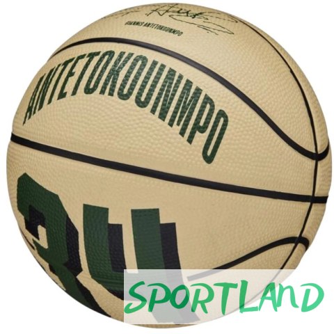 Piłka do koszykówki Wilson NBA Player Icon Giannis Antetokounmpo Mini Ball WZ4007501XB 3 Piłka do koszykówki Wilson NBA Player Icon Giannis Antetokounmpo Mini Ball WZ4007501XB 3