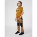 Spodnie 4F trekkingowe Jr 4FJSS23TFTRM098-81S 158