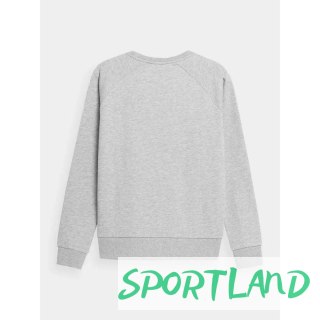 Bluza 4F W 4FSS23TSWSF370-27M S
