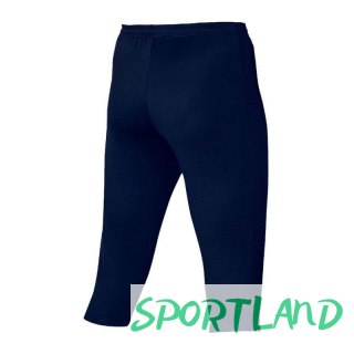 Spodenki Nike Dri-FIT Academy M DR1365-451 S (173cm)