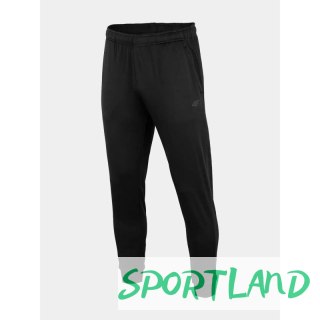 Spodnie 4F M 4FSS23TFTRM167-20S S