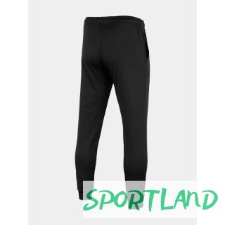 Spodnie 4F M 4FSS23TFTRM167-20S S
