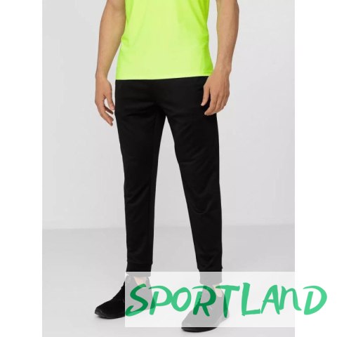 Spodnie 4F M 4FSS23TFTRM167-20S S Spodnie 4F M 4FSS23TFTRM167-20S S