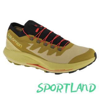 Buty Salomon Pulsar Trail-Pro M 415936 48