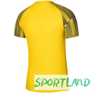 Koszulka Nike Df Academy Jsy SS Jr DH8369 719 M