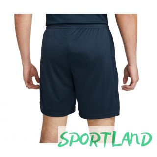 Spodenki Nike Dri-FIT Academy M DR1360-451 XXL (193cm)