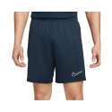 Spodenki Nike Dri-FIT Academy M DR1360-451 S (173cm)