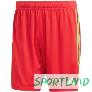 Spodenki adidas Tiro 23 League M IB8090 M