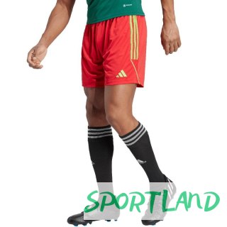 Spodenki adidas Tiro 23 League M IB8090 S