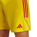 Spodenki adidas Tiro 23 League M IB8091 XL