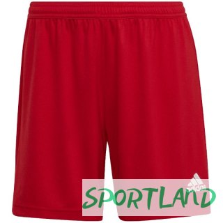 Spodenki adidas Entrada 22 W HI0002 L