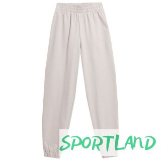 Spodnie 4F W 4FSS23TTROF147 83S L
