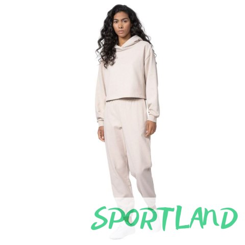 Spodnie 4F W 4FSS23TTROF147 83S L