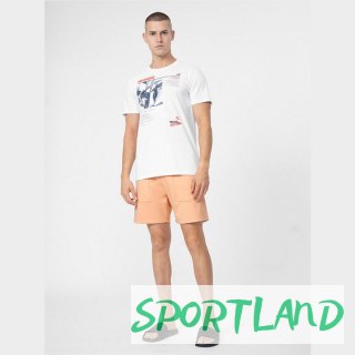 Spodenki 4F M 4FSS23TSHOM074 64S XL