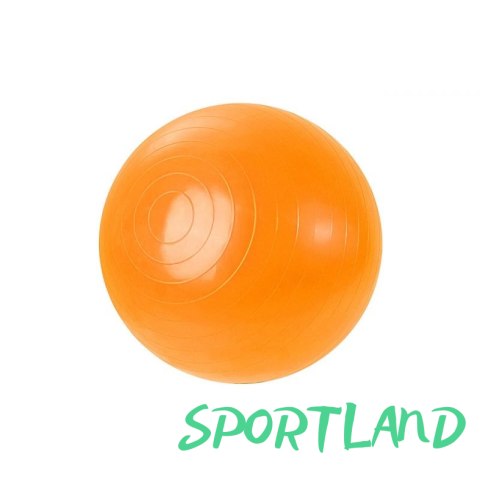 Piłka Gimnastyczna 45 cm 100504 N/A Piłka Gimnastyczna 45 cm 100504 N/A