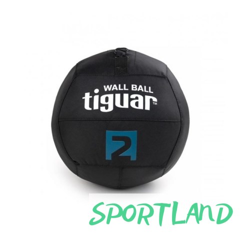 Piłka lekarska tiguar wallball 2 kg TI-WB002 N/A Piłka lekarska tiguar wallball 2 kg TI-WB002 N/A