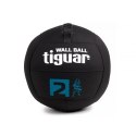 Piłka lekarska tiguar wallball 2 kg TI-WB002 N/A