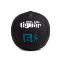 Piłka lekarska tiguar wallball 6 kg TI-WB006 N/A Piłka lekarska tiguar wallball 6 kg TI-WB006 N/A
