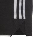 Spodenki adidas Tiro 23 League Sweat Jr HS3595 152 cm Spodenki adidas Tiro 23 League Sweat Jr HS3595 152 cm