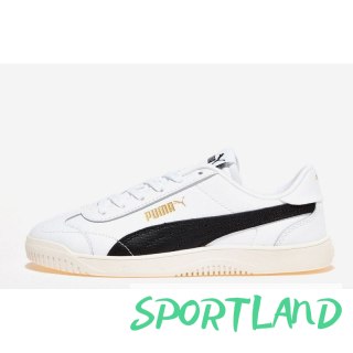Buty Puma Club 5v5 M 38940603 40
