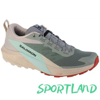Buty Salomon Sense Ride 5 M 472117 43 1/3