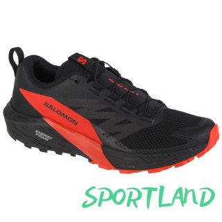 Buty Salomon Sense Ride 5 M 472143 44 2/3