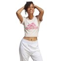 Koszulka adidas Big Logo Tee W IB9455 M