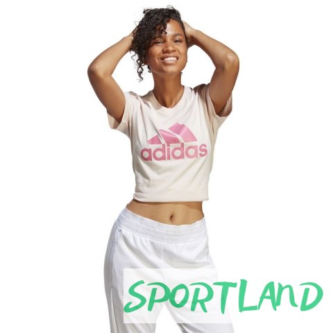 Koszulka adidas Big Logo Tee W IB9455 M Koszulka adidas Big Logo Tee W IB9455 M