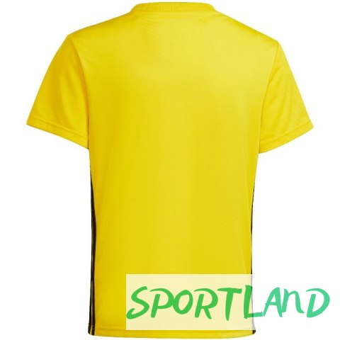Koszulka adidas Tabela 23 Jersey Jr IA9156 140cm Koszulka adidas Tabela 23 Jersey Jr IA9156 140cm