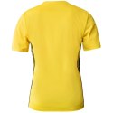 Koszulka adidas Tabela 23 Jersey Jr IA9156 164cm