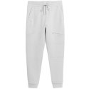 Spodnie 4F M 4FSS23TTROM152SZARY XXL