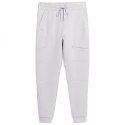 Spodnie 4F M 4FSS23TTROM152SZARY XXL
