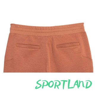 Spodnie 4F M 4FSS23TTROM152brąz L
