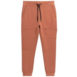 Spodnie 4F M 4FSS23TTROM152brąz XL
