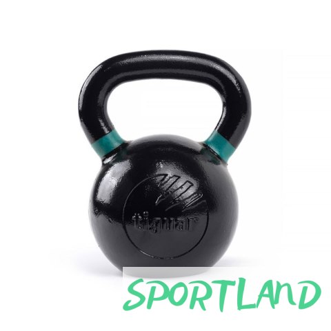 Odważnik tiguar kettlebell Raw V2 28kg TI-KB0028RV2 N/A Odważnik tiguar kettlebell Raw V2 28kg TI-KB0028RV2 N/A