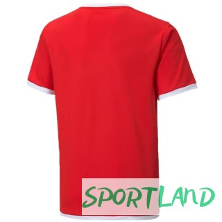 Koszulka Puma teamLIGA Jersey Jr 704925 01 140cm
