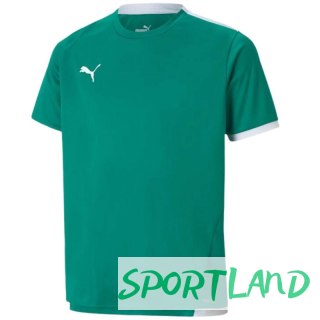 Koszulka Puma teamLIGA Jersey Jr 704925 05 164cm