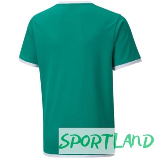 Koszulka Puma teamLIGA Jersey Jr 704925 05 164cm