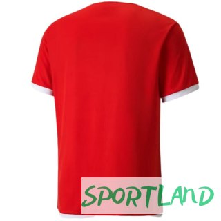 Koszulka Puma teamLIGA Jersey M 704917 01 S