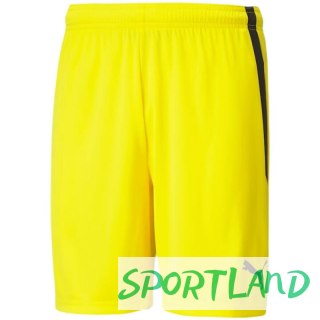 Spodenki Puma teamLIGA M 704924 07 M