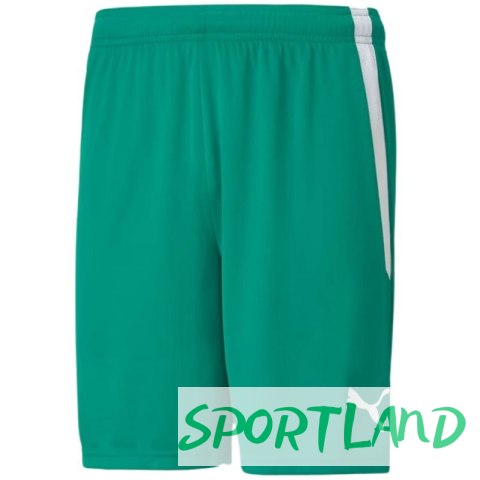 Spodenki Puma teamLiga M 704924 05 L Spodenki Puma teamLiga M 704924 05 L