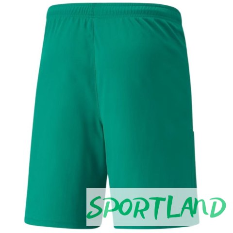 Spodenki Puma teamLiga M 704924 05 M Spodenki Puma teamLiga M 704924 05 M
