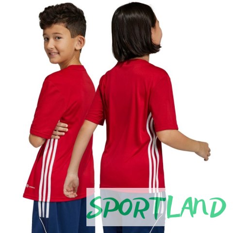 Koszulka adidas Tabela 23 Jersey Jr HS0539 128cm Koszulka adidas Tabela 23 Jersey Jr HS0539 128cm