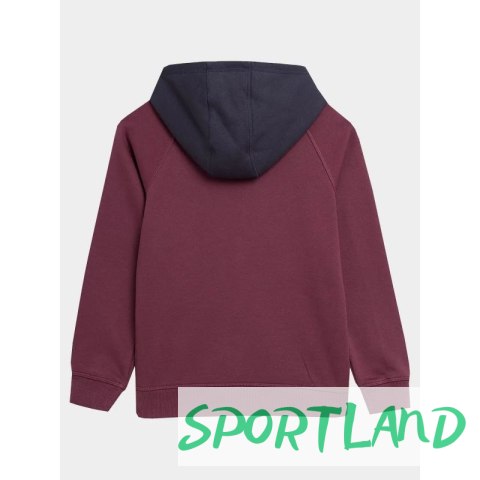 Bluza 4F Jr 4FJAW23TSWSM651-60S 128 Bluza 4F Jr 4FJAW23TSWSM651-60S 128