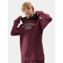 Bluza 4F Jr 4FJAW23TSWSM651-60S 128 Bluza 4F Jr 4FJAW23TSWSM651-60S 128