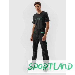 Spodnie 4F M 4FAW23TFTRM363-20S L
