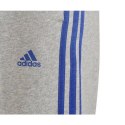 Spodnie adidas Trainings Jr HN6712 164