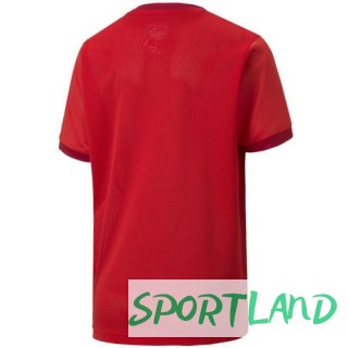 Koszulka Puma teamGOAL 23 Jersey Jr 704160 01 128cm